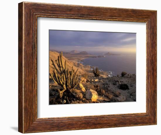 Desert Coast and Pacific Ocean, Atacama Desert, Pan de Azucar National Park,Chile-Andres Morya-Framed Photographic Print