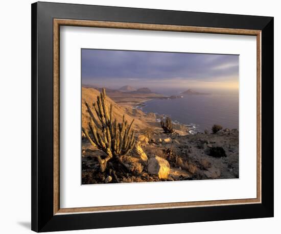 Desert Coast and Pacific Ocean, Atacama Desert, Pan de Azucar National Park,Chile-Andres Morya-Framed Photographic Print