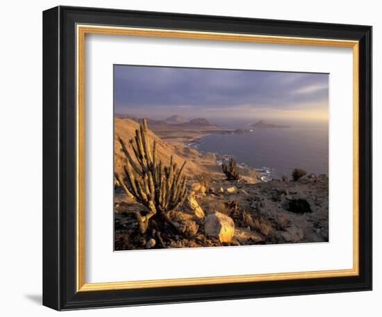 Desert Coast and Pacific Ocean, Atacama Desert, Pan de Azucar National Park,Chile-Andres Morya-Framed Photographic Print