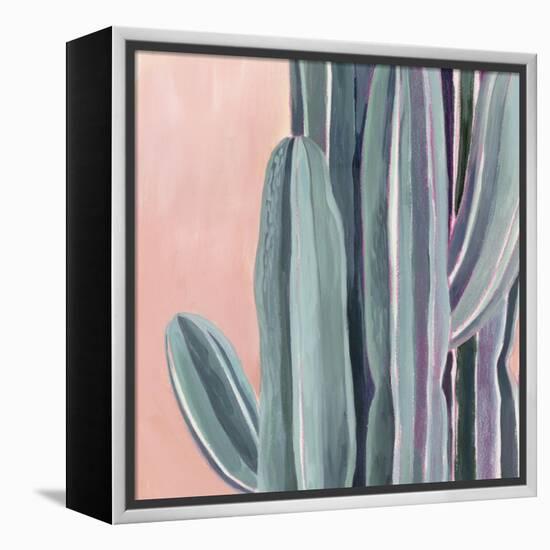 Desert Dawn IV-Grace Popp-Framed Stretched Canvas