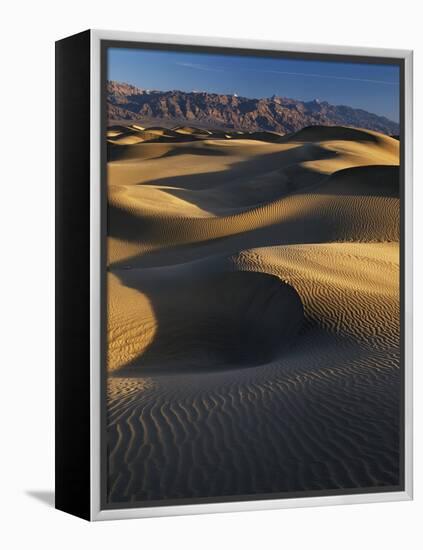 Desert Dunes, Death Valley National Park, California, USA-Adam Jones-Framed Premier Image Canvas