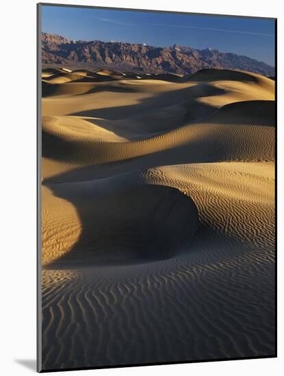 Desert Dunes, Death Valley National Park, California, USA-Adam Jones-Mounted Photographic Print