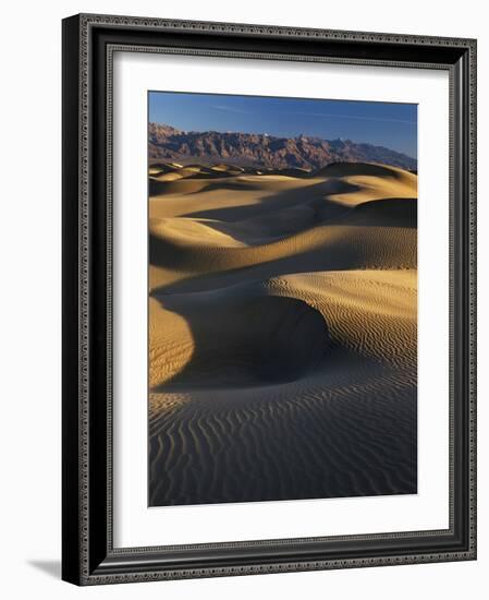 Desert Dunes, Death Valley National Park, California, USA-Adam Jones-Framed Photographic Print