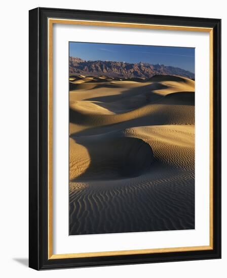 Desert Dunes, Death Valley National Park, California, USA-Adam Jones-Framed Photographic Print