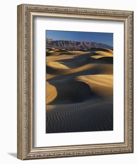 Desert Dunes, Death Valley National Park, California, USA-Adam Jones-Framed Photographic Print