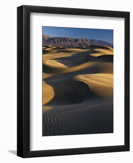 Desert Dunes, Death Valley National Park, California, USA-Adam Jones-Framed Photographic Print