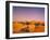 Desert, Dunes, Palms-Thonig-Framed Photographic Print