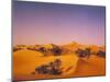 Desert, Dunes, Palms-Thonig-Mounted Photographic Print
