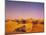 Desert, Dunes, Palms-Thonig-Mounted Photographic Print