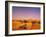 Desert, Dunes, Palms-Thonig-Framed Photographic Print