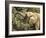 Desert Elephant (Loxodonta Africana), Endemic to Namibia, Kaokoveld, Namibia-Kim Walker-Framed Photographic Print