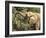 Desert Elephant (Loxodonta Africana), Endemic to Namibia, Kaokoveld, Namibia-Kim Walker-Framed Photographic Print