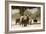 Desert Elephants, Family Finding Shade-Augusto Leandro Stanzani-Framed Photographic Print