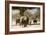 Desert Elephants, Family Finding Shade-Augusto Leandro Stanzani-Framed Photographic Print