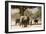 Desert Elephants, Family Finding Shade-Augusto Leandro Stanzani-Framed Photographic Print
