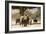 Desert Elephants, Family Finding Shade-Augusto Leandro Stanzani-Framed Photographic Print