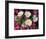 Desert Evening Primrose and Sand Verbena, Anza Borrego Desert State Park, California, USA-Adam Jones-Framed Photographic Print