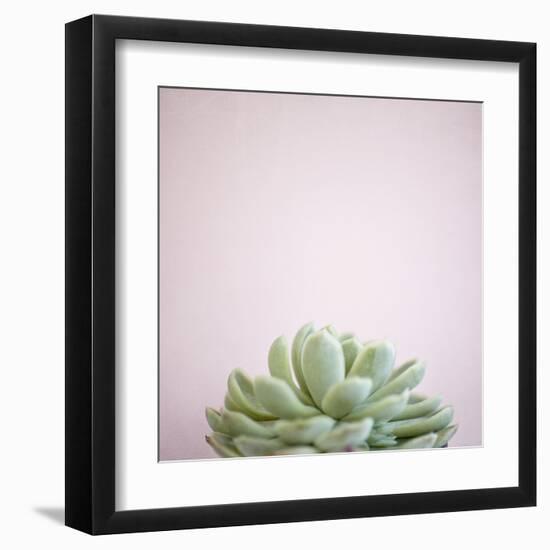 Desert Flora 1-Susannah Tucker-Framed Art Print