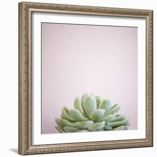 Desert Flora 1-Susannah Tucker-Framed Art Print