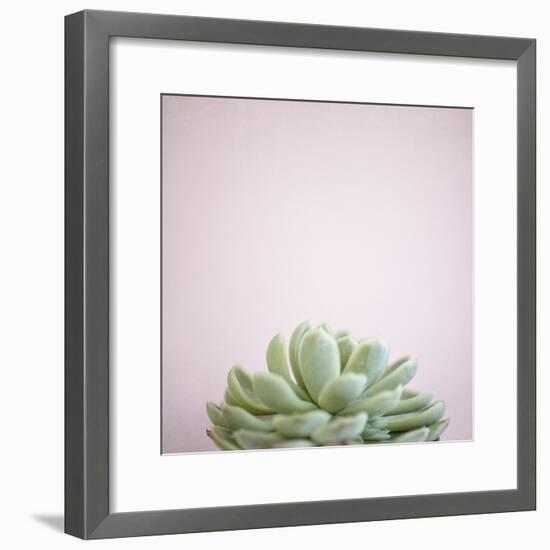 Desert Flora 1-Susannah Tucker-Framed Art Print