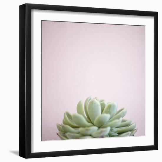 Desert Flora 1-Susannah Tucker-Framed Art Print