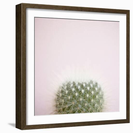 Desert Flora 3-Susannah Tucker-Framed Art Print