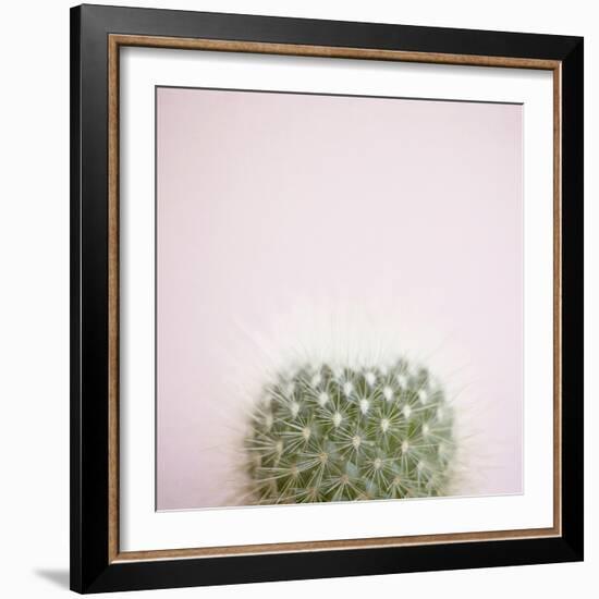 Desert Flora 3-Susannah Tucker-Framed Art Print