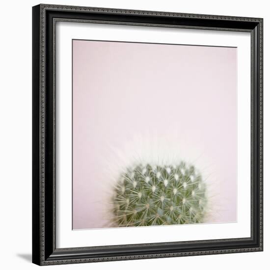 Desert Flora 3-Susannah Tucker-Framed Art Print