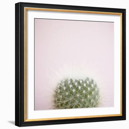 Desert Flora 3-Susannah Tucker-Framed Art Print
