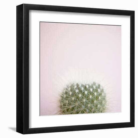 Desert Flora 3-Susannah Tucker-Framed Art Print