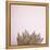 Desert Flora 4-Susannah Tucker-Framed Stretched Canvas