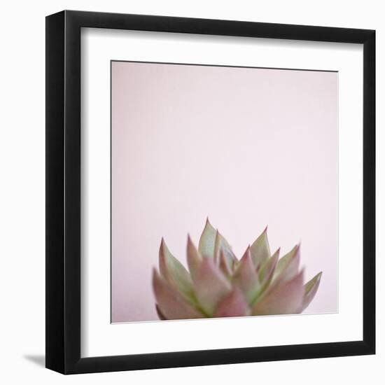 Desert Flora 4-Susannah Tucker-Framed Art Print