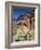 Desert Flora Beneath Camelback Mountain, Echo Canyon Recreation Area, Paradise Valley, Arizona-Ruth Tomlinson-Framed Photographic Print