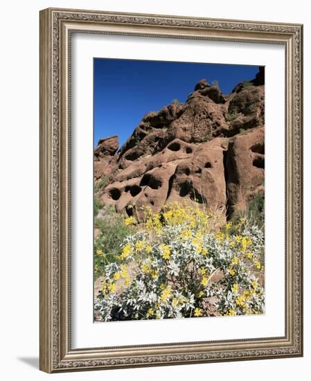 Desert Flora Beneath Camelback Mountain, Echo Canyon Recreation Area, Paradise Valley, Arizona-Ruth Tomlinson-Framed Photographic Print