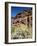 Desert Flora Beneath Camelback Mountain, Echo Canyon Recreation Area, Paradise Valley, Arizona-Ruth Tomlinson-Framed Photographic Print