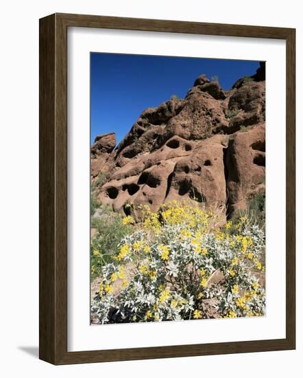 Desert Flora Beneath Camelback Mountain, Echo Canyon Recreation Area, Paradise Valley, Arizona-Ruth Tomlinson-Framed Photographic Print