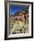 Desert Flora Beneath Camelback Mountain, Echo Canyon Recreation Area, Paradise Valley, Arizona-Ruth Tomlinson-Framed Photographic Print