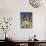 Desert Flora Beneath Camelback Mountain, Echo Canyon Recreation Area, Paradise Valley, Arizona-Ruth Tomlinson-Photographic Print displayed on a wall