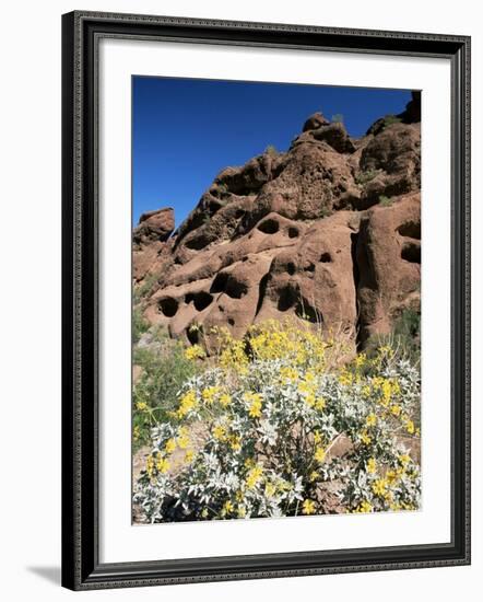Desert Flora Beneath Camelback Mountain, Echo Canyon Recreation Area, Paradise Valley, Arizona-Ruth Tomlinson-Framed Photographic Print