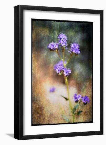 Desert Flower 2-LightBoxJournal-Framed Giclee Print