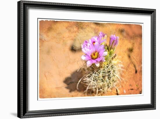 Desert Flower 4-LightBoxJournal-Framed Giclee Print