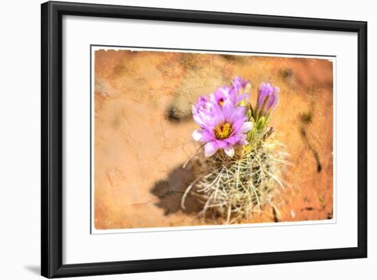 Desert Flower 4-LightBoxJournal-Framed Giclee Print