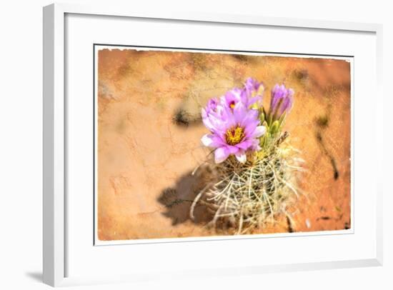 Desert Flower 4-LightBoxJournal-Framed Giclee Print