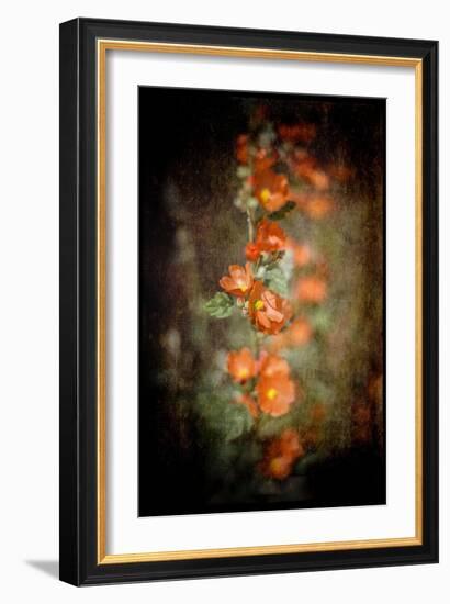 Desert Flower 5-LightBoxJournal-Framed Giclee Print