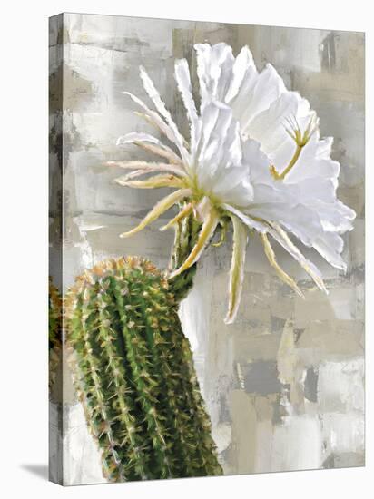 Desert Flower - Harmony-Tania Bello-Framed Stretched Canvas