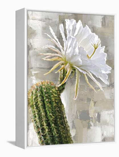 Desert Flower - Harmony-Tania Bello-Framed Stretched Canvas