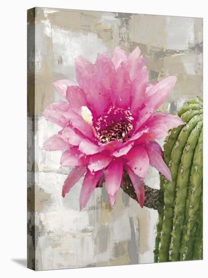 Desert Flower - Melody-Tania Bello-Framed Stretched Canvas