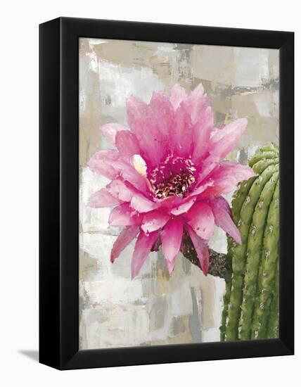Desert Flower - Melody-Tania Bello-Framed Stretched Canvas