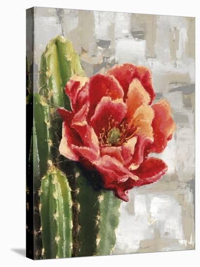 Desert Flower - Solo-Tania Bello-Framed Stretched Canvas