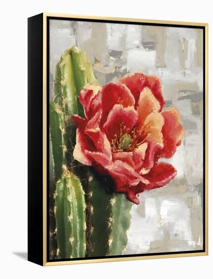 Desert Flower - Solo-Tania Bello-Framed Stretched Canvas